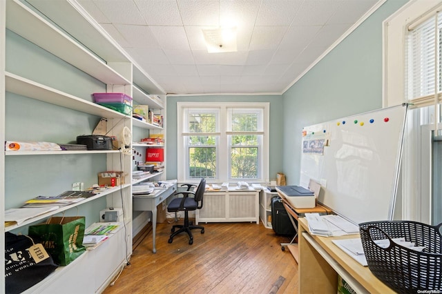 office with wood-type flooring, crown molding, and radiator