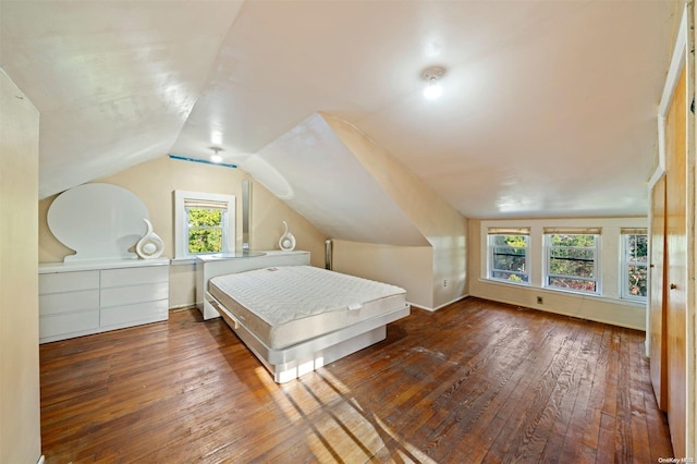 bedroom with multiple windows, lofted ceiling, and dark hardwood / wood-style floors