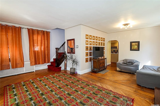 living room featuring hardwood / wood-style flooring and radiator