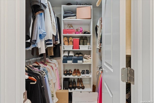 view of spacious closet