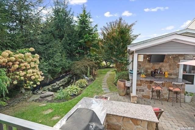 view of yard featuring a patio area and a bar