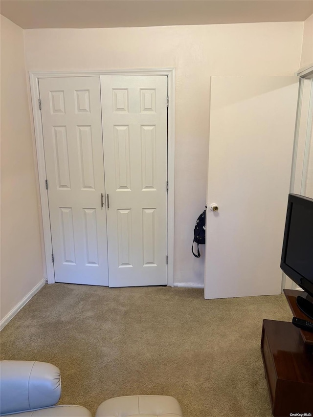 interior space featuring light colored carpet and a closet