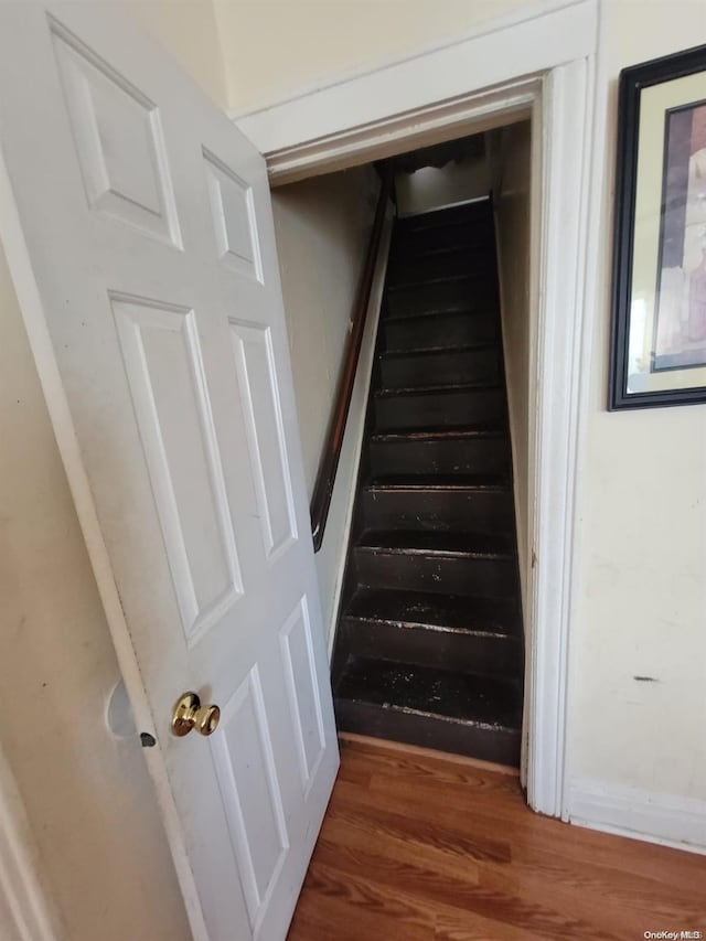 stairway with hardwood / wood-style flooring