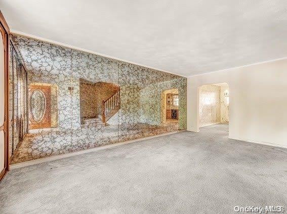 spare room with carpet flooring and crown molding