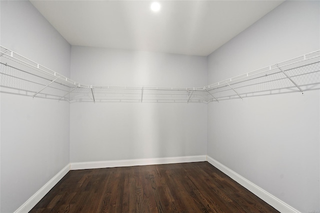 spacious closet featuring dark wood-type flooring