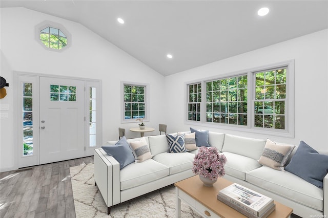 living room featuring high vaulted ceiling, light hardwood / wood-style flooring, and a healthy amount of sunlight