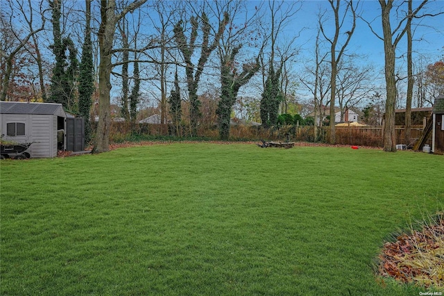 view of yard featuring a storage unit