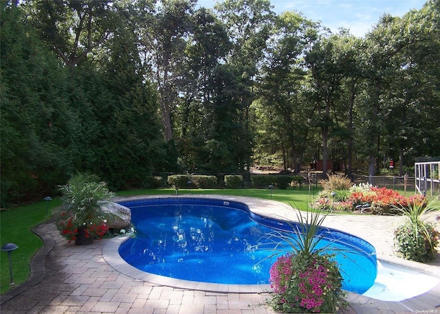 view of swimming pool with a patio area