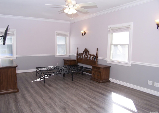 interior space featuring ornamental molding, a wealth of natural light, and dark wood-type flooring