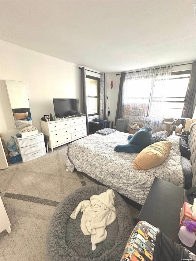 bedroom with carpet floors