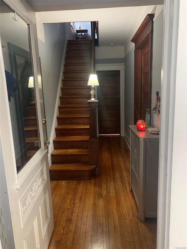 staircase with wood-type flooring