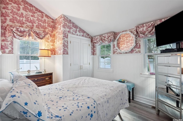 bedroom featuring lofted ceiling, wood-type flooring, multiple windows, and a closet