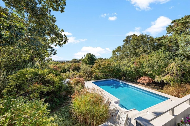 view of swimming pool