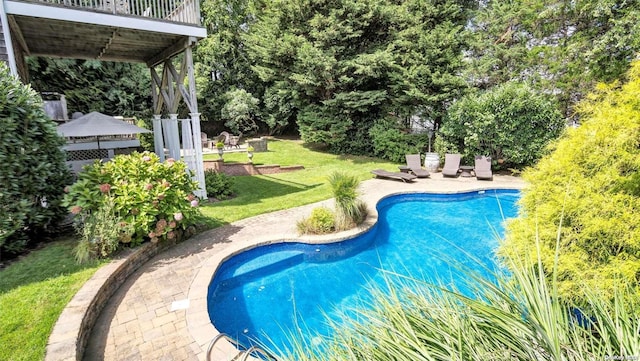 view of pool with a yard and a patio