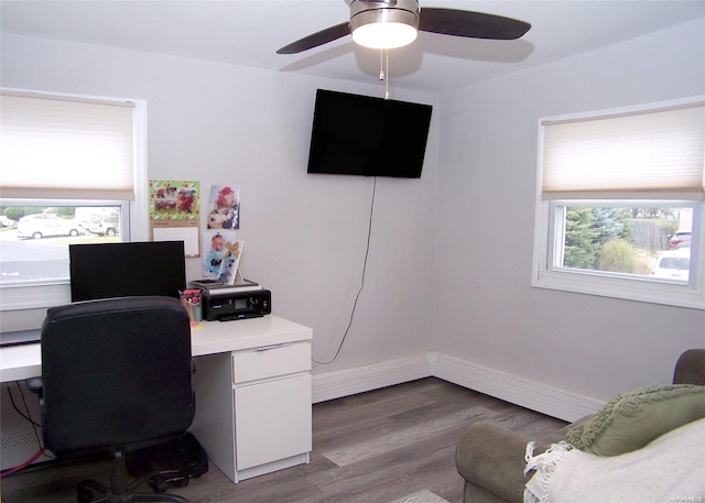 office featuring hardwood / wood-style floors and ceiling fan