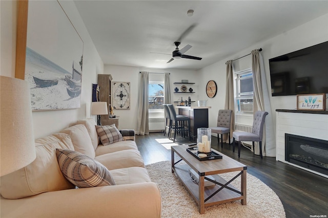 living room featuring radiator, ceiling fan, and dark hardwood / wood-style flooring