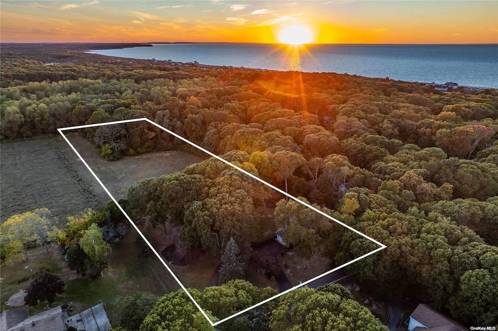 6005 Hortons Ln, Southold, NY 11971 - aerial view of property's location with a large body of water, property boundaries highlighted, and a forest