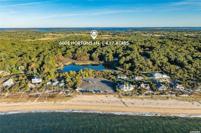 drone / aerial view with a water view and a view of the beach