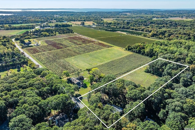 birds eye view of property featuring a rural view