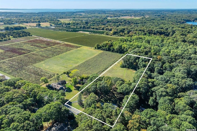 drone / aerial view with a rural view