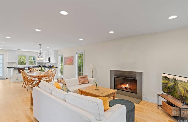 living room featuring light hardwood / wood-style floors