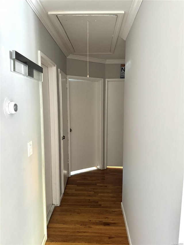 corridor featuring dark hardwood / wood-style flooring and crown molding