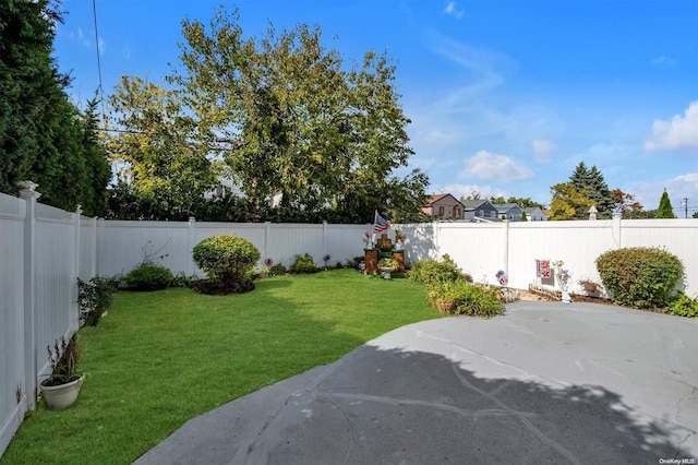 view of yard featuring a patio