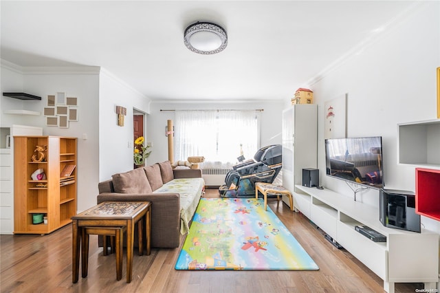 living room featuring light hardwood / wood-style flooring, radiator, and ornamental molding