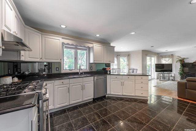 kitchen with stainless steel appliances, white cabinetry, dark hardwood / wood-style floors, and sink