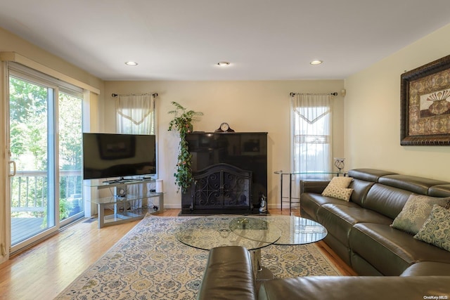 living room with wood-type flooring