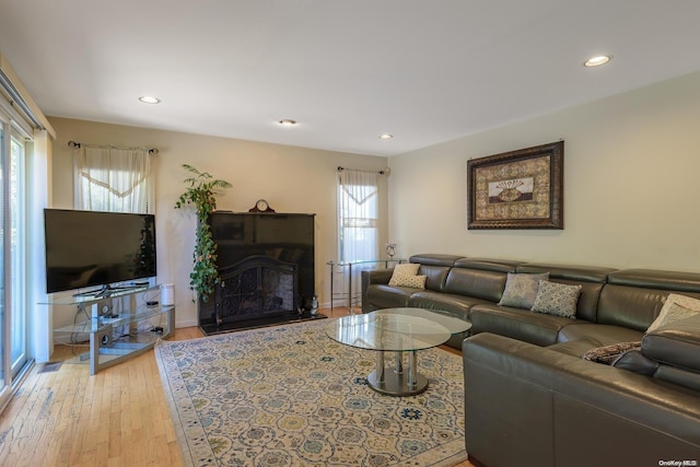 living room with light wood-type flooring