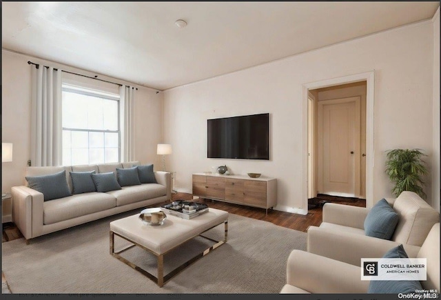 living room featuring hardwood / wood-style floors