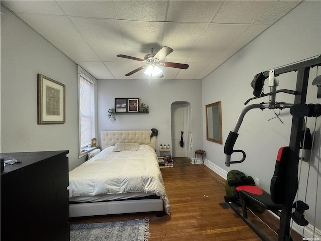 bedroom featuring a paneled ceiling, ceiling fan, and dark hardwood / wood-style floors