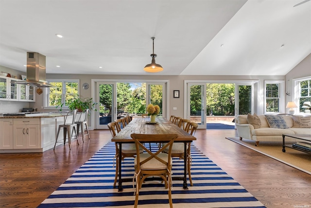 dining room featuring lofted ceiling and dark wood-type flooring