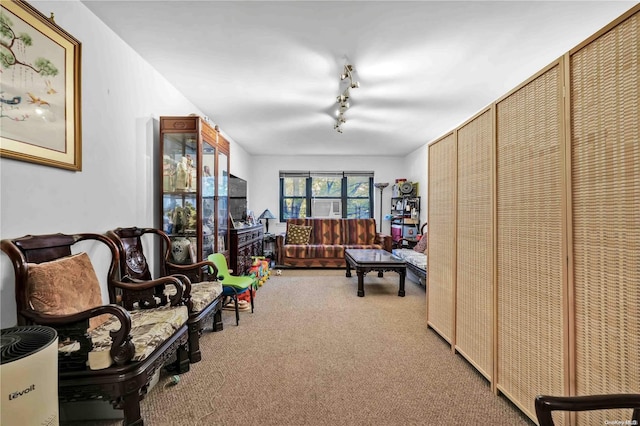 sitting room featuring carpet flooring and track lighting