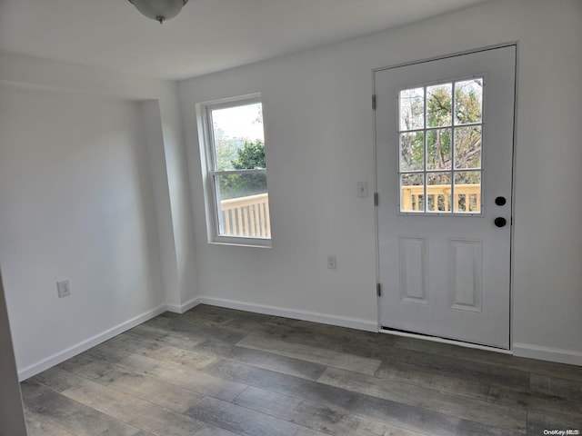 doorway to outside with wood-type flooring and a wealth of natural light