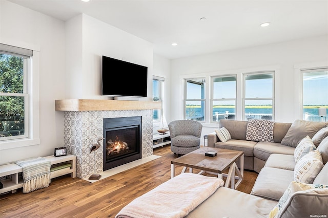 living room with hardwood / wood-style floors and a healthy amount of sunlight