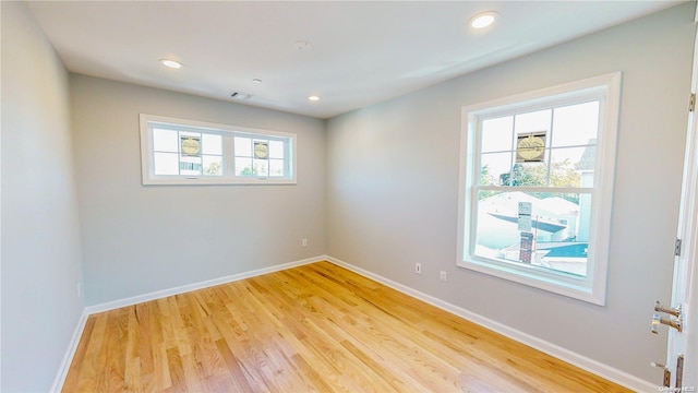 spare room featuring plenty of natural light and wood-type flooring