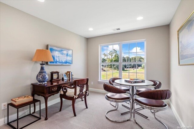 35 Steven Cir Unit 35, Dix Hills, NY 11746 - office with light carpet and recessed lighting