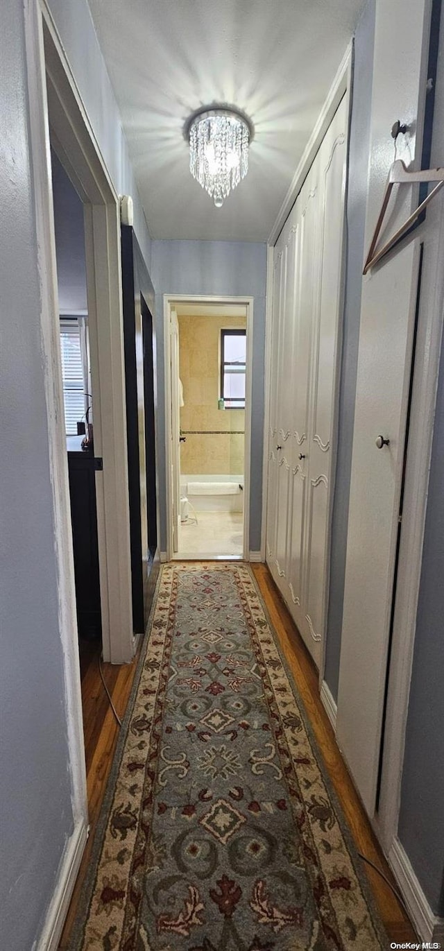 hall with a notable chandelier and dark hardwood / wood-style flooring