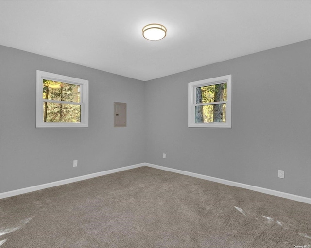 carpeted spare room with electric panel and plenty of natural light