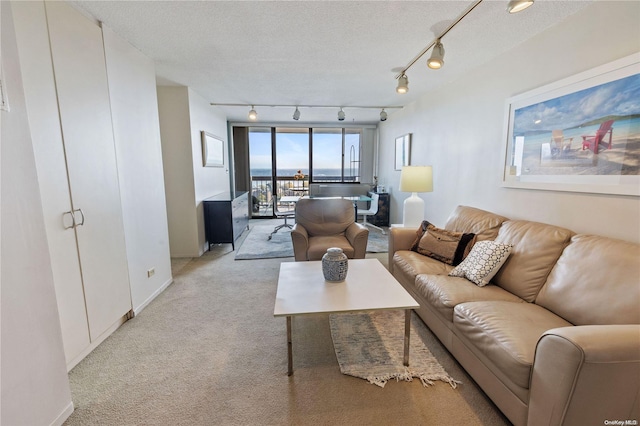 living room with light colored carpet, a textured ceiling, and track lighting