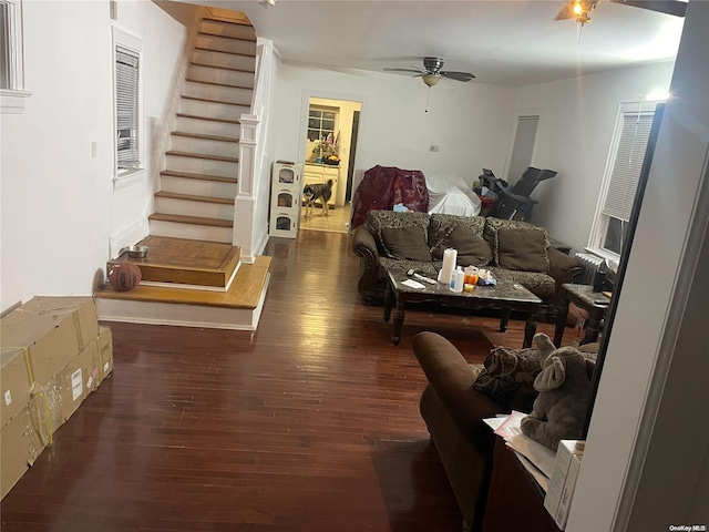 living room with ceiling fan and dark hardwood / wood-style flooring