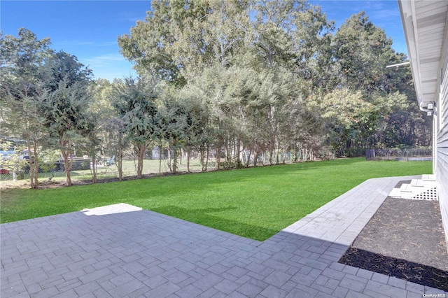 view of yard featuring a patio