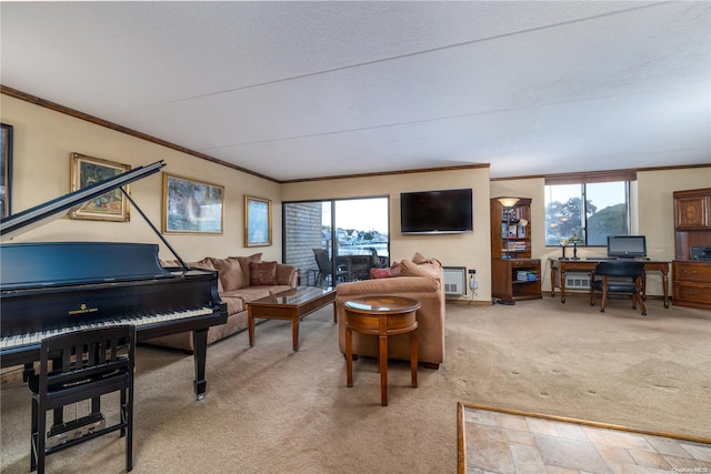 carpeted living room with ornamental molding and a textured ceiling