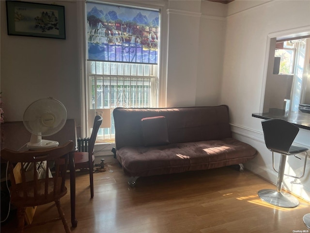 sitting room featuring hardwood / wood-style floors