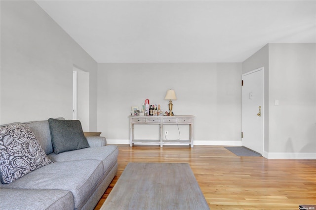 living room with hardwood / wood-style floors