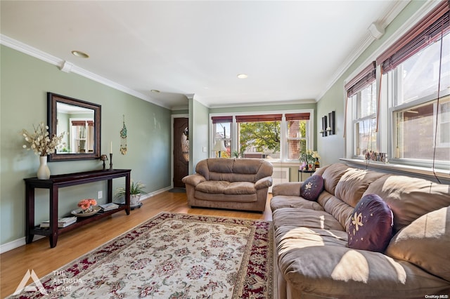 living room with crown molding and light hardwood / wood-style flooring