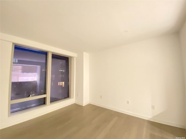 spare room featuring wood-type flooring