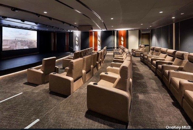 home theater with dark carpet